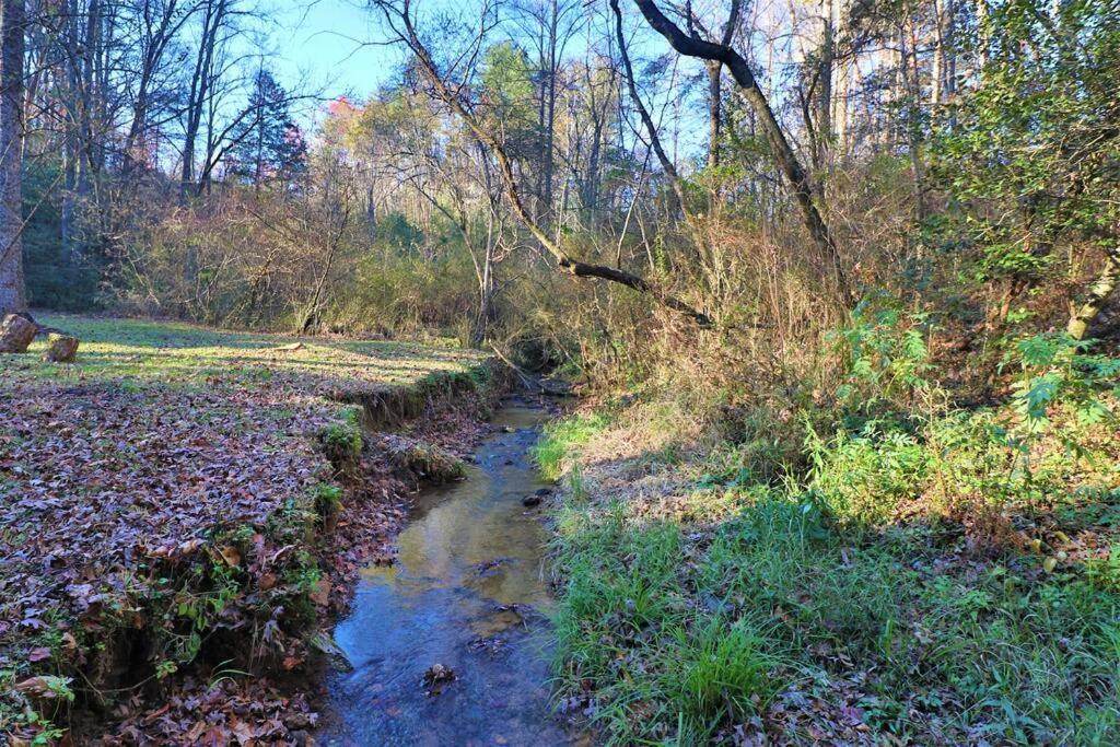 Cute Cabin Creek & Firepit #12 เฮเลน ภายนอก รูปภาพ